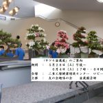 サツキ盆栽展