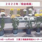 ２０２２年　菊盆栽展
