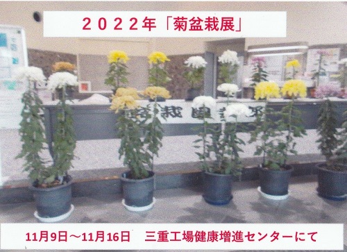２０２２年　菊盆栽展