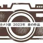 カメラ部春の作品