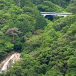 ウオーキング部　2023年6月行事報告