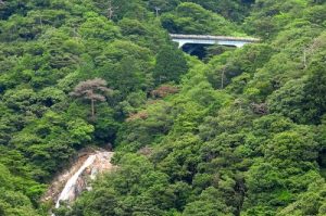 ウオーキング部　2023年6月行事報告