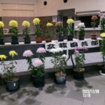 ２０２３年　「菊花展示会」のお知らせ