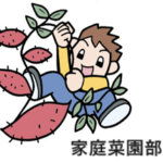 ２０２５年度下期　家庭菜園部の活動報告