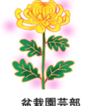 秋の「菊盆栽展」の展示